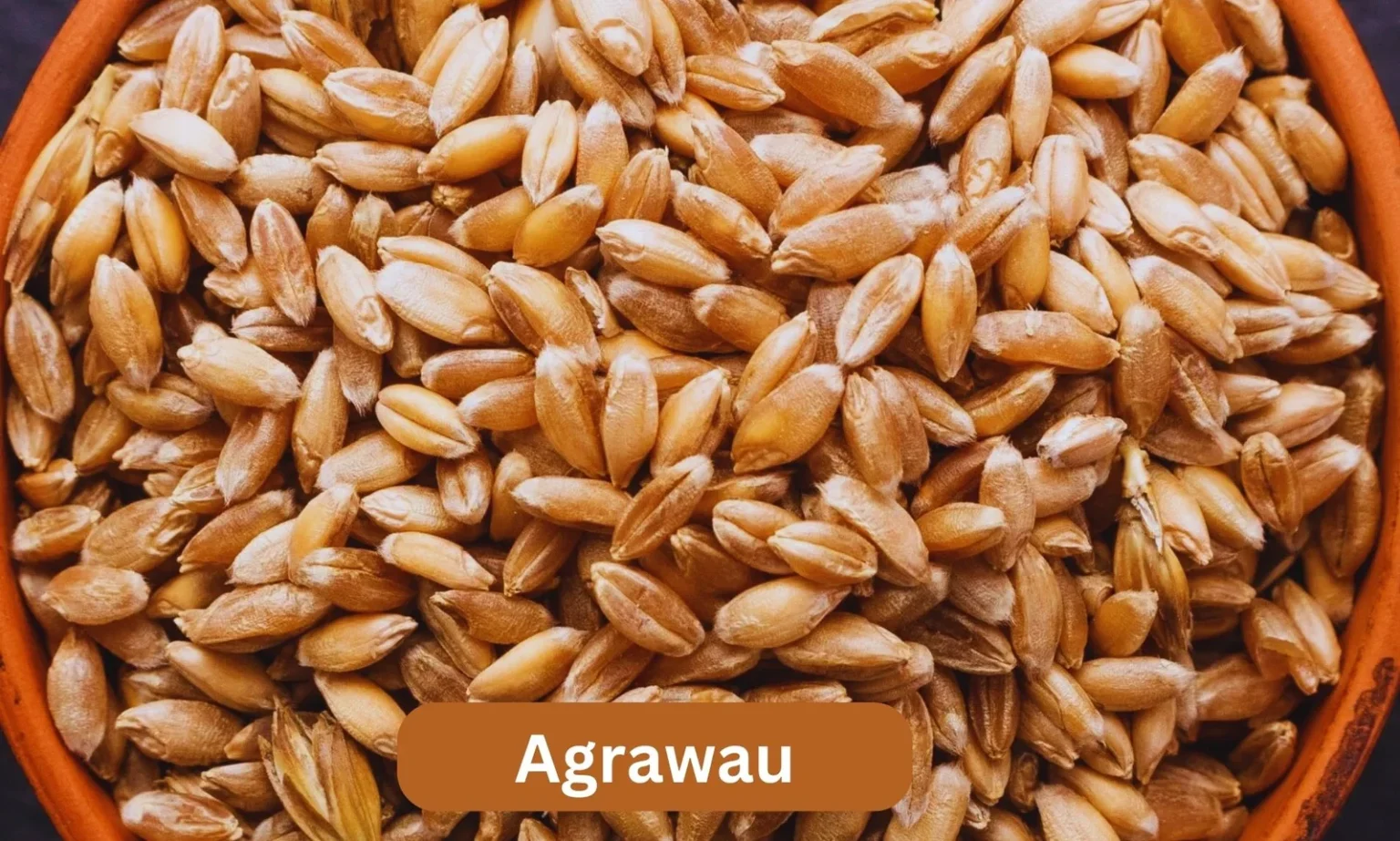 agrawau